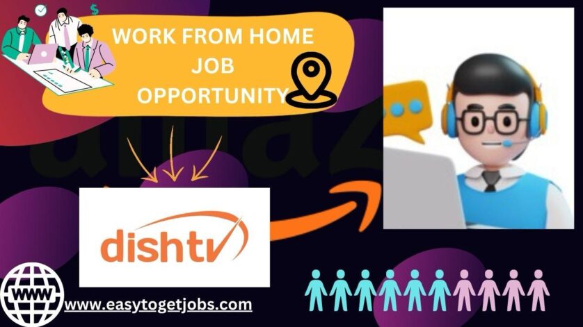 DishTV jobs in Work From Home, freshers, 2024