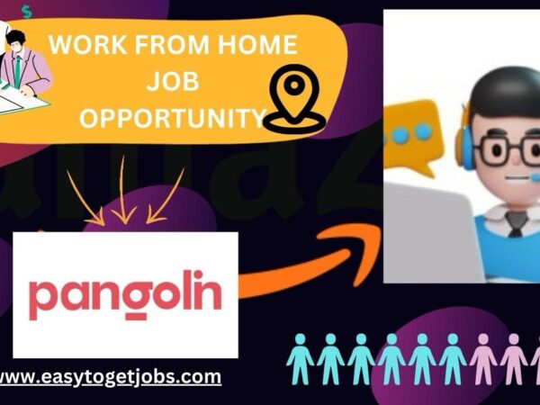 Work from home job opportunity 2024