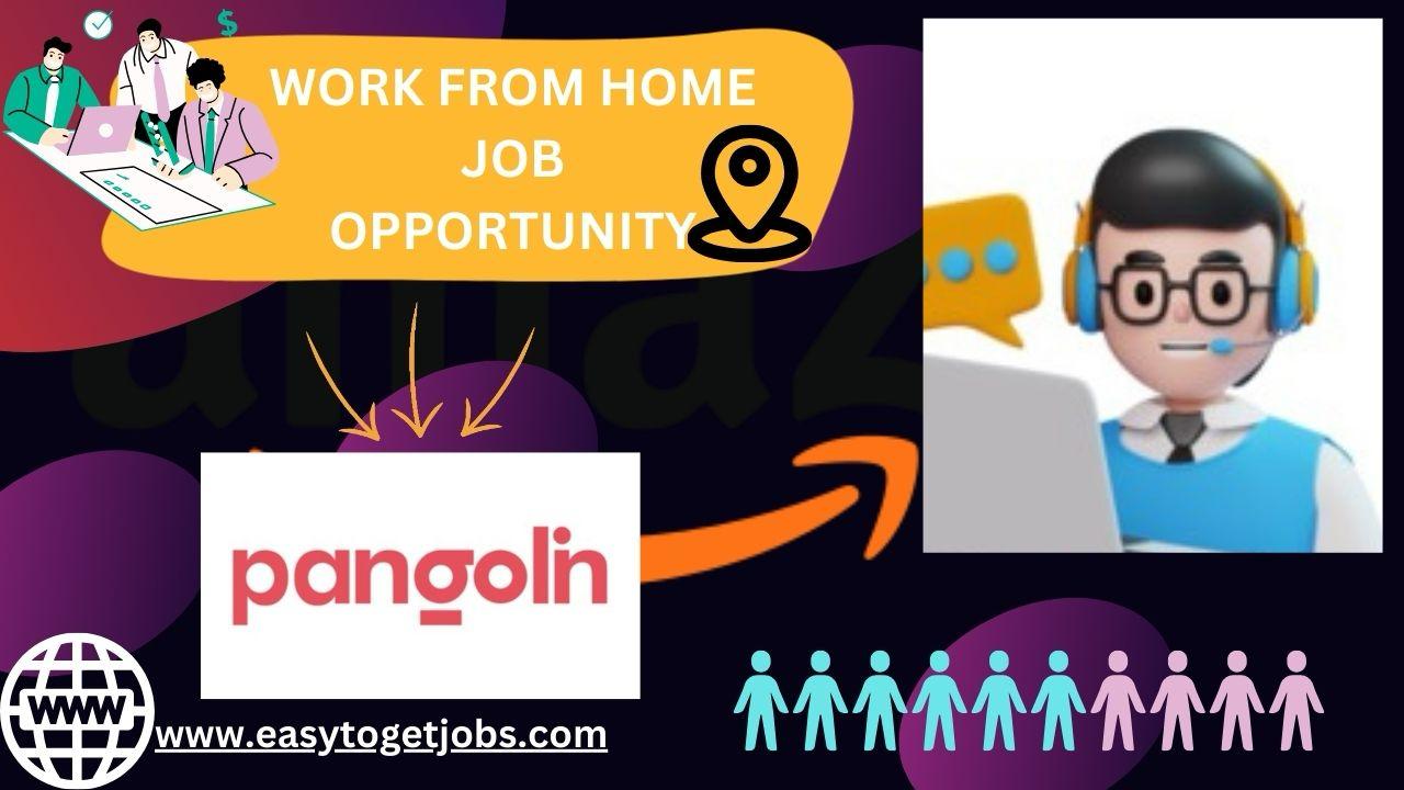 Work from home job opportunity 2024